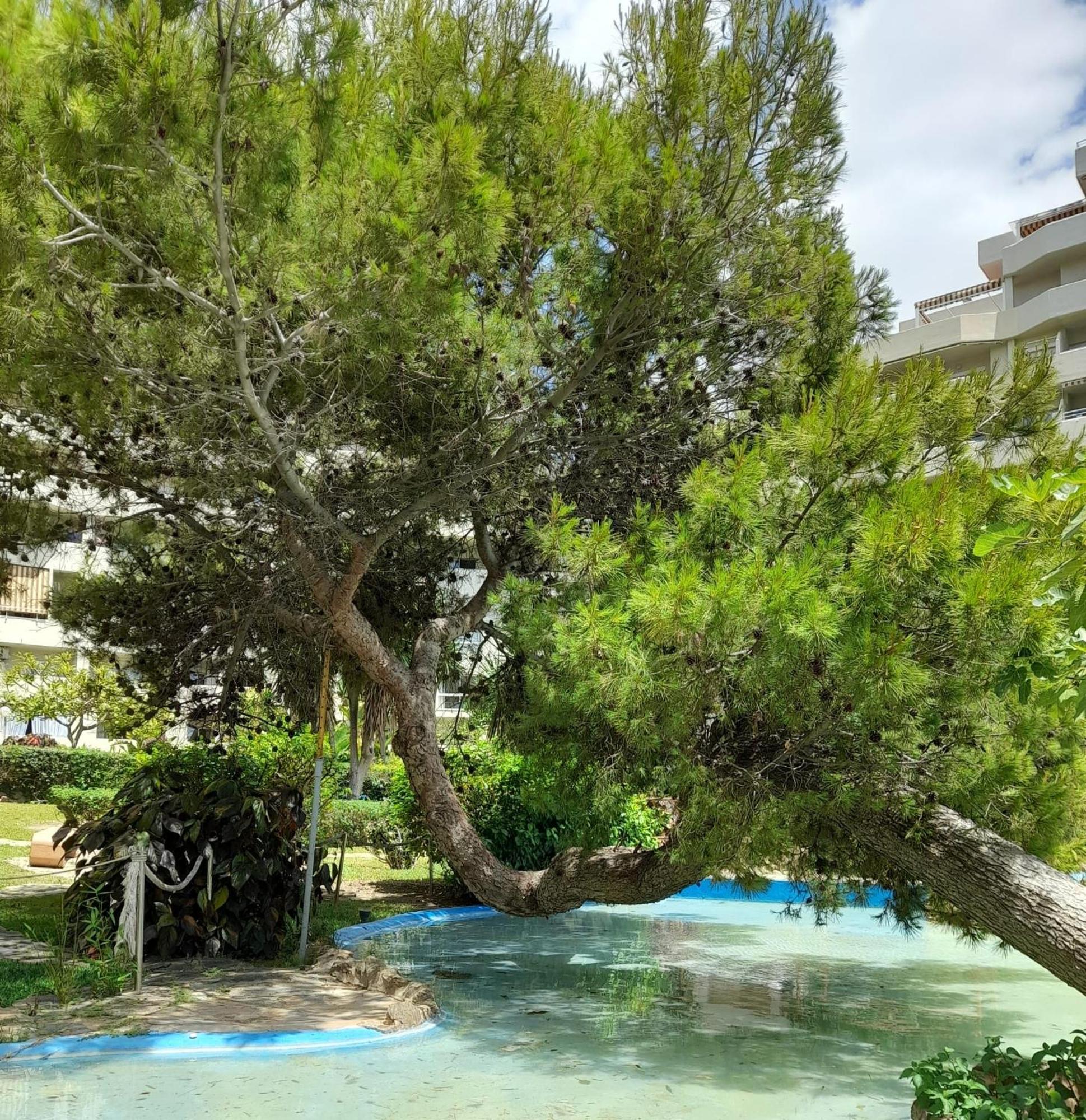 Benalbeach R&R Suite Benalmádena Exteriér fotografie